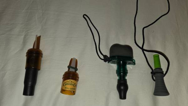 Elk and predator calls 1