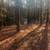 11 Acres Of Land 12 thumbnail
