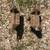 Ford Torino/Fairlane 1968-69 parts 2 thumbnail