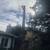 TREE &STUMP GRINDING &STUMP REMOVAL SERVICE 19 thumbnail