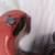RIDGID # 202 Heavy Duty Pipe Cutter 1/8" to 2" pipe diameter excellent 4 thumbnail