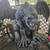Large Gothic Gargoyle Statue 4 thumbnail