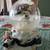 Christmas Snow Globes (2) 2 thumbnail