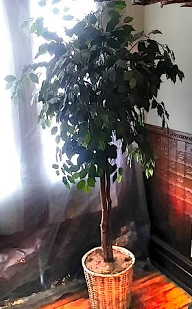 Seven Foot Fake Tree 1