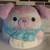 Squishmallows 8 Inch Bashira Dog 3 thumbnail
