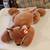 Large Beanie Baby dolls 10 thumbnail