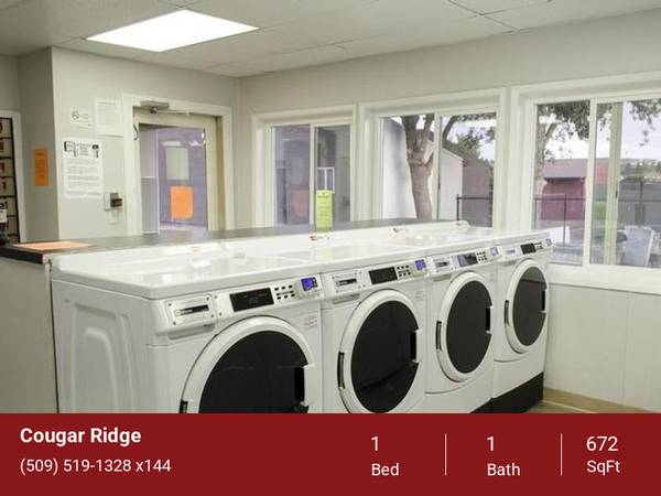 $1,040 / 1br - 672ft2 - ¡Quedan pocas mudanzas disponibles en agosto! (2024 NE Terre View Dr. Pullman, WA. 99163)63689276447619123