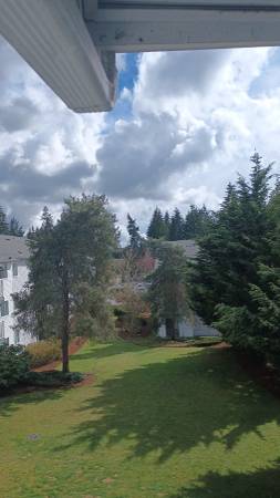 $1,728 / 1br - 680ft2 - Spice Up Your Life at Park 212 ! Ready Move In 1 BR Available Now! (Edmonds)63884886977027124