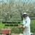 RESERVE BEES NUCS NOW! 2 thumbnail