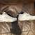 Cowboy Boots, New Balance Tennis shoes, Winter boots 4 thumbnail