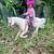 Custom Breyer Rider Doll & Model Horse Playset, Handsewn Doll Clothes, Handmade  21 thumbnail