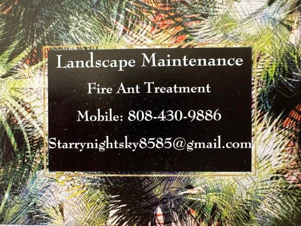 LFA Away Fire Ant Treatment Services 1