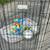 Dog Crate Kennel + Exercise Pen + Supplies 6 thumbnail