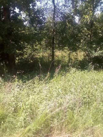 $6,500 Land for sale-East Lake Addition (Vian, Oklahoma)64054256032642124