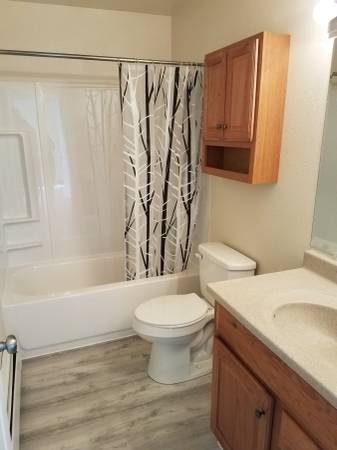 $1,500 / 2br - 925ft2 - Great 2BD Apartment Available Now! (Anchorage)64004783958403123