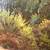 Landscape oil painting on canvas 12 thumbnail
