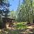 Price Drop* 4.33 acres 6 thumbnail