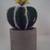 Home Decoration 8 thumbnail