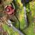 Lawn mower, leaf blower and other stuff 8 thumbnail