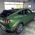 2025 Ford Mustang Mach-E  Guaranteed Credit Approval!  a 11 thumbnail