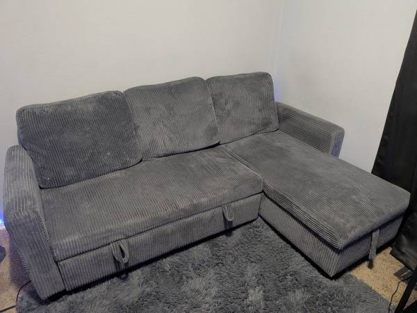 Pull out couch 1