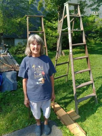 Wooden step ladders (2) 1