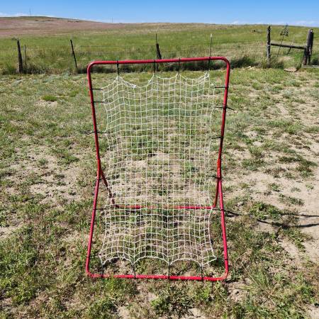 Baseball/softball rebound net 1