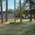 Property with Potential 7 thumbnail