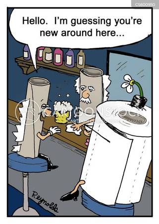 PT - 6 pack paper towels - six double rolls 1