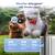 Like new Levoit EverestAir Smart Air Alexa Control Large Purifier 2 thumbnail