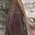 PLUMB Vtg Camp Axe, 3-7/8" Wide Bit, 19.5" Long, 2 lb. 13 oz. 9 thumbnail