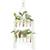 Macrame Hanging Plant Cutting Propagation Station - 10 tubes 2 thumbnail