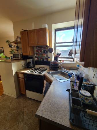 $750 / 3br - Cozy room in Park Slope – Dog Friendly! (Park Slope)63689699069441122