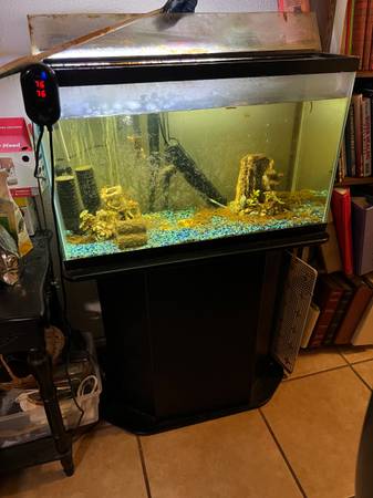 Fish aquarium no leaks (Bartlett)63839344964227121