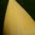 Wenonah Minnesota II Canoe ultralight excellent condition 9 thumbnail