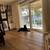 Black Female German Shepherd 2 thumbnail