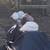 Geese, guineas, pullets, turkeys, and white homing pigeons 17 thumbnail
