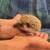 3 month old Hedgehog 5 thumbnail