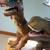 4- Toys r Us soft rubber Dinosaurs 6 thumbnail