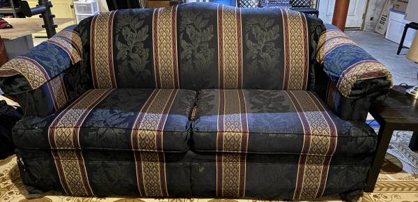 Free Sleeper Couch 1