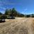 Knoll-Top Orchard Estate Setting In The Corralitos Foothills! 24 thumbnail