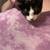 Kittens for rehome 2 thumbnail