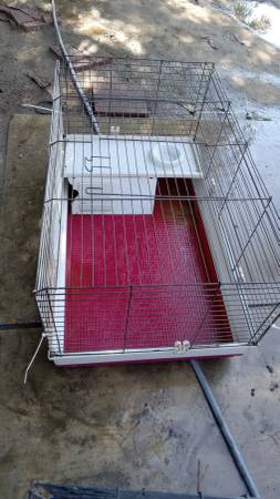 Jaula para conejo / jaula para conejillo de indias (Visalia)63963774496259121