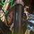 Auction style Vintage Trek Trek 2300Pro Shimano Tri Color 600! 10 thumbnail