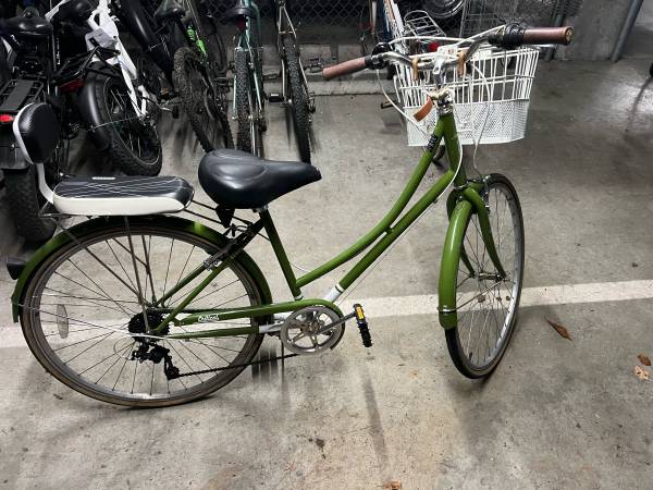 Beach cruiser 1