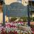 2Bed/2Bath Large Rooms,Recessed Lights,S.S.Appliances,Gated Oasis 1 thumbnail