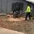 Affordable TREE SERVICE 3 thumbnail