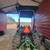 Jon Deere Tractor 2 thumbnail