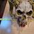 Customized Decorative Skull with Horns 2 thumbnail