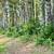 Amazing views of Grandfather Mountain, Lot G16 5 thumbnail